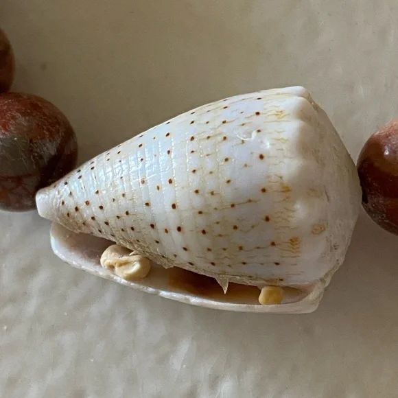 Shell & Jasper Bracelet - Picture 4 of 9